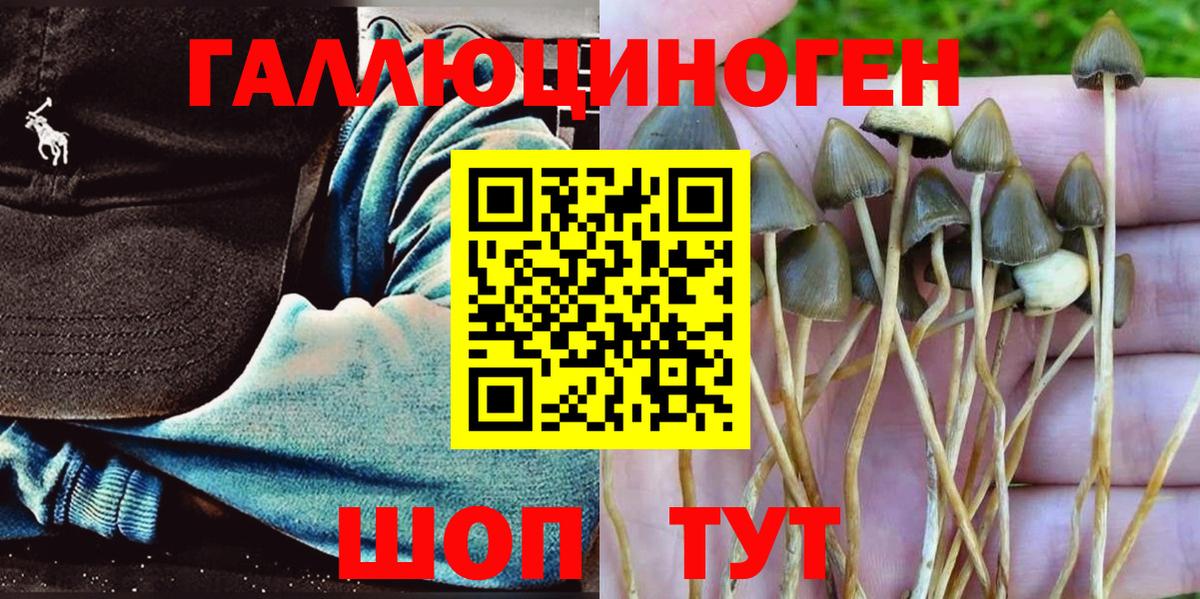 Псилоцибиновые грибы мухоморы Самара